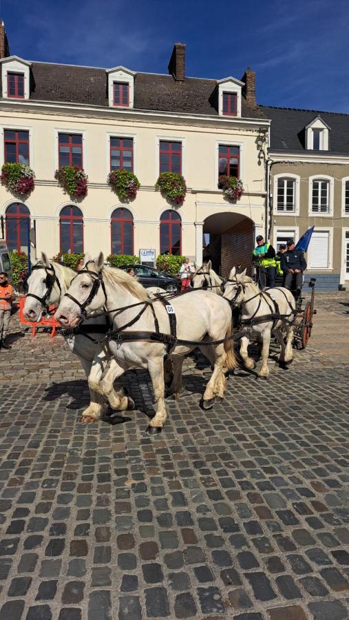 Gîte La Grange 8personnes au sein d'un élevage de Chevaux Brucquedal Esterno foto